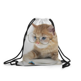 Рюкзак-мешок 3D с принтом Кот в очках в Екатеринбурге, 100% полиэстер | плотность ткани — 200 г/м2, размер — 35 х 45 см; лямки — толстые шнурки, застежка на шнуровке, без карманов и подкладки | Тематика изображения на принте: домашнее | животное | книга | кот | кот в очках | котэ | очки | прикол | умный | ученый | читает