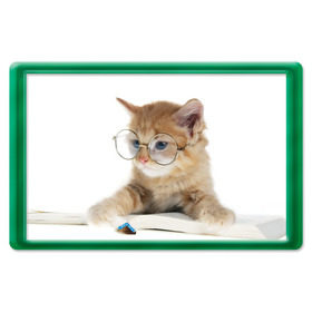 Магнит 45*70 с принтом Кот в очках в Екатеринбурге, Пластик | Размер: 78*52 мм; Размер печати: 70*45 | домашнее | животное | книга | кот | кот в очках | котэ | очки | прикол | умный | ученый | читает