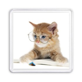 Магнит 55*55 с принтом Кот в очках в Екатеринбурге, Пластик | Размер: 65*65 мм; Размер печати: 55*55 мм | Тематика изображения на принте: домашнее | животное | книга | кот | кот в очках | котэ | очки | прикол | умный | ученый | читает