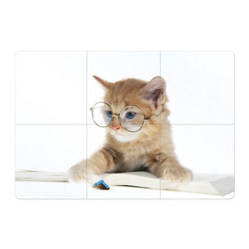 Магнитный плакат 3Х2 с принтом Кот в очках в Екатеринбурге, Полимерный материал с магнитным слоем | 6 деталей размером 9*9 см | Тематика изображения на принте: домашнее | животное | книга | кот | кот в очках | котэ | очки | прикол | умный | ученый | читает