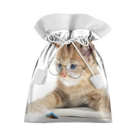 Подарочный 3D мешок с принтом Кот в очках в Екатеринбурге, 100% полиэстер | Размер: 29*39 см | Тематика изображения на принте: домашнее | животное | книга | кот | кот в очках | котэ | очки | прикол | умный | ученый | читает