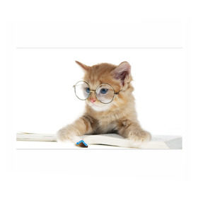 Бумага для упаковки 3D с принтом Кот в очках в Екатеринбурге, пластик и полированная сталь | круглая форма, металлическое крепление в виде кольца | Тематика изображения на принте: домашнее | животное | книга | кот | кот в очках | котэ | очки | прикол | умный | ученый | читает