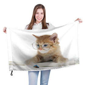 Флаг 3D с принтом Кот в очках в Екатеринбурге, 100% полиэстер | плотность ткани — 95 г/м2, размер — 67 х 109 см. Принт наносится с одной стороны | домашнее | животное | книга | кот | кот в очках | котэ | очки | прикол | умный | ученый | читает