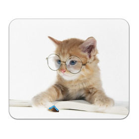 Коврик прямоугольный с принтом Кот в очках в Екатеринбурге, натуральный каучук | размер 230 х 185 мм; запечатка лицевой стороны | Тематика изображения на принте: домашнее | животное | книга | кот | кот в очках | котэ | очки | прикол | умный | ученый | читает