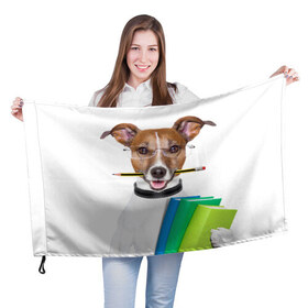Флаг 3D с принтом Ученый пес в Екатеринбурге, 100% полиэстер | плотность ткани — 95 г/м2, размер — 67 х 109 см. Принт наносится с одной стороны | домашнее | животное | карандаш | книги | очки | ошейник | пес | прикол | собака в очках | умный | ученый