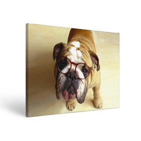 Холст прямоугольный с принтом Бульдог в очках в Екатеринбурге, 100% ПВХ |  | Тематика изображения на принте: бульдог в очках | домашнее | животное | очки | пес | прикол | собака | умный | ученый