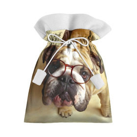Подарочный 3D мешок с принтом Бульдог в очках в Екатеринбурге, 100% полиэстер | Размер: 29*39 см | Тематика изображения на принте: бульдог в очках | домашнее | животное | очки | пес | прикол | собака | умный | ученый