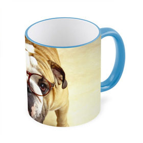 Кружка 3D с принтом Бульдог в очках в Екатеринбурге, керамика | ёмкость 330 мл | Тематика изображения на принте: бульдог в очках | домашнее | животное | очки | пес | прикол | собака | умный | ученый