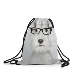 Рюкзак-мешок 3D с принтом Собака в очках в Екатеринбурге, 100% полиэстер | плотность ткани — 200 г/м2, размер — 35 х 45 см; лямки — толстые шнурки, застежка на шнуровке, без карманов и подкладки | белый | домашнее | животное | очки | пес | прикол | собака в очках | умный | ученый | эрдельтерьер