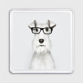 Магнит 55*55 с принтом Собака в очках в Екатеринбурге, Пластик | Размер: 65*65 мм; Размер печати: 55*55 мм | белый | домашнее | животное | очки | пес | прикол | собака в очках | умный | ученый | эрдельтерьер