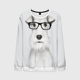 Мужской свитшот 3D с принтом Собака в очках в Екатеринбурге, 100% полиэстер с мягким внутренним слоем | круглый вырез горловины, мягкая резинка на манжетах и поясе, свободная посадка по фигуре | белый | домашнее | животное | очки | пес | прикол | собака в очках | умный | ученый | эрдельтерьер