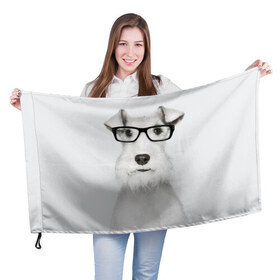 Флаг 3D с принтом Собака в очках в Екатеринбурге, 100% полиэстер | плотность ткани — 95 г/м2, размер — 67 х 109 см. Принт наносится с одной стороны | белый | домашнее | животное | очки | пес | прикол | собака в очках | умный | ученый | эрдельтерьер