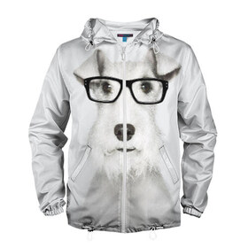 Мужская ветровка 3D с принтом Собака в очках в Екатеринбурге, 100% полиэстер | подол и капюшон оформлены резинкой с фиксаторами, два кармана без застежек по бокам, один потайной карман на груди | Тематика изображения на принте: белый | домашнее | животное | очки | пес | прикол | собака в очках | умный | ученый | эрдельтерьер