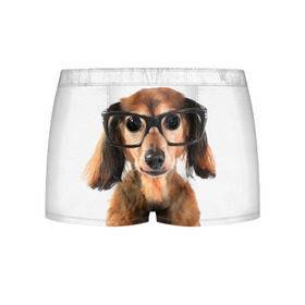 Мужские трусы 3D с принтом Собака в очках в Екатеринбурге, 50% хлопок, 50% полиэстер | классическая посадка, на поясе мягкая тканевая резинка | домашнее | животное | очки | пес | прикол | собака в очках | умный | ученый