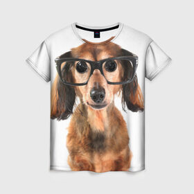 Женская футболка 3D с принтом Собака в очках в Екатеринбурге, 100% полиэфир ( синтетическое хлопкоподобное полотно) | прямой крой, круглый вырез горловины, длина до линии бедер | домашнее | животное | очки | пес | прикол | собака в очках | умный | ученый