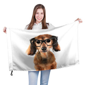 Флаг 3D с принтом Собака в очках в Екатеринбурге, 100% полиэстер | плотность ткани — 95 г/м2, размер — 67 х 109 см. Принт наносится с одной стороны | домашнее | животное | очки | пес | прикол | собака в очках | умный | ученый