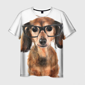 Мужская футболка 3D с принтом Собака в очках в Екатеринбурге, 100% полиэфир | прямой крой, круглый вырез горловины, длина до линии бедер | домашнее | животное | очки | пес | прикол | собака в очках | умный | ученый
