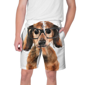 Мужские шорты 3D с принтом Собака в очках в Екатеринбурге,  полиэстер 100% | прямой крой, два кармана без застежек по бокам. Мягкая трикотажная резинка на поясе, внутри которой широкие завязки. Длина чуть выше колен | домашнее | животное | очки | пес | прикол | собака в очках | умный | ученый
