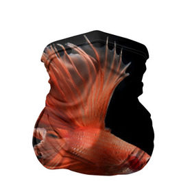 Бандана-труба 3D с принтом Бойцовая рыбка в Екатеринбурге, 100% полиэстер, ткань с особыми свойствами — Activecool | плотность 150‒180 г/м2; хорошо тянется, но сохраняет форму | аквариумная | бойцовая | красивый | плавники | рыба | рыбка | хвост | япаонская