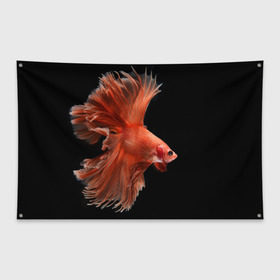 Флаг-баннер с принтом Бойцовая рыбка в Екатеринбурге, 100% полиэстер | размер 67 х 109 см, плотность ткани — 95 г/м2; по краям флага есть четыре люверса для крепления | аквариумная | бойцовая | красивый | плавники | рыба | рыбка | хвост | япаонская