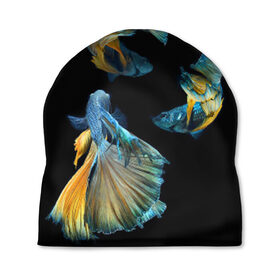 Шапка 3D с принтом Бойцовая рыбка в Екатеринбурге, 100% полиэстер | универсальный размер, печать по всей поверхности изделия | аквариумная | бойцовая | красивый | плавники | рыба | рыбка | хвост | япаонская