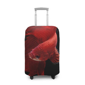 Чехол для чемодана 3D с принтом Бойцовая рыбка в Екатеринбурге, 86% полиэфир, 14% спандекс | двустороннее нанесение принта, прорези для ручек и колес | аквариумная | бойцовая | красивый | плавники | рыба | рыбка | хвост | япаонская
