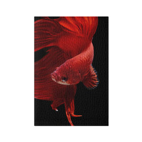 Обложка для паспорта матовая кожа с принтом Бойцовая рыбка в Екатеринбурге, натуральная матовая кожа | размер 19,3 х 13,7 см; прозрачные пластиковые крепления | аквариумная | бойцовая | красивый | плавники | рыба | рыбка | хвост | япаонская