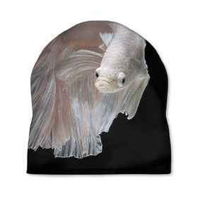 Шапка 3D с принтом Бойцовая рыбка в Екатеринбурге, 100% полиэстер | универсальный размер, печать по всей поверхности изделия | аквариумная | бойцовая | красивый | плавники | рыба | рыбка | хвост | япаонская