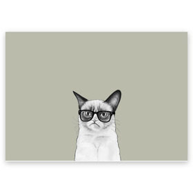 Поздравительная открытка с принтом Кот - хипстер в Екатеринбурге, 100% бумага | плотность бумаги 280 г/м2, матовая, на обратной стороне линовка и место для марки
 | cat | hipster | кот | кошка | хипстер