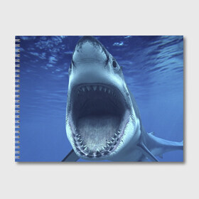 Альбом для рисования с принтом Белая акула в Екатеринбурге, 100% бумага
 | матовая бумага, плотность 200 мг. | shark | море | синий