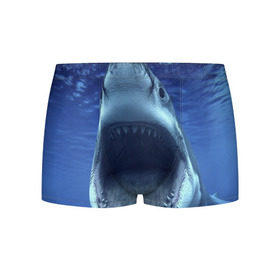 Мужские трусы 3D с принтом Белая акула в Екатеринбурге, 50% хлопок, 50% полиэстер | классическая посадка, на поясе мягкая тканевая резинка | Тематика изображения на принте: shark | море | синий