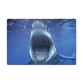 Пазл магнитный 126 элементов с принтом Белая акула в Екатеринбурге, полимерный материал с магнитным слоем | 126 деталей, размер изделия —  180*270 мм | Тематика изображения на принте: shark | море | синий