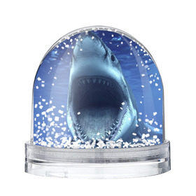 Снежный шар с принтом Белая акула в Екатеринбурге, Пластик | Изображение внутри шара печатается на глянцевой фотобумаге с двух сторон | shark | море | синий