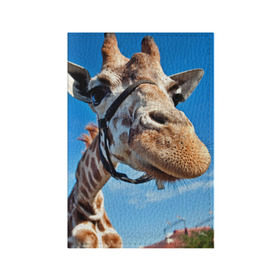 Обложка для паспорта матовая кожа с принтом Прикольный жираф в Екатеринбурге, натуральная матовая кожа | размер 19,3 х 13,7 см; прозрачные пластиковые крепления | Тематика изображения на принте: африка | животное | жираф | небо | природа
