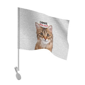 Флаг для автомобиля с принтом Самая милая в Екатеринбурге, 100% полиэстер | Размер: 30*21 см | киса | кот | котенок | котик | кошечка | кошка | красивая | милая | самая