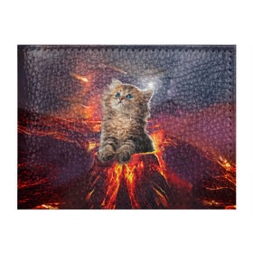 Обложка для студенческого билета с принтом Кот на вулкане в Екатеринбурге, натуральная кожа | Размер: 11*8 см; Печать на всей внешней стороне | вулкан | извержение | кот | котенок | лава | метеорит