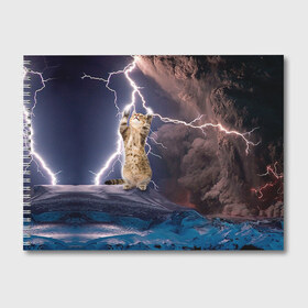 Альбом для рисования с принтом Кот и молния в Екатеринбурге, 100% бумага
 | матовая бумага, плотность 200 мг. | буря | гроза | кот | котенок | молния | облака