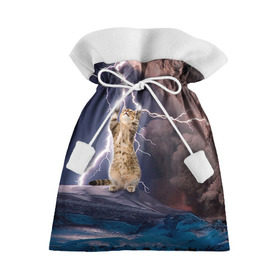 Подарочный 3D мешок с принтом Кот и молния в Екатеринбурге, 100% полиэстер | Размер: 29*39 см | Тематика изображения на принте: буря | гроза | кот | котенок | молния | облака