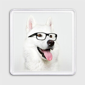 Магнит 55*55 с принтом Собака в очках в Екатеринбурге, Пластик | Размер: 65*65 мм; Размер печати: 55*55 мм | домашнее | животное | очки | пес | прикол | собака в очках | умный | ученый