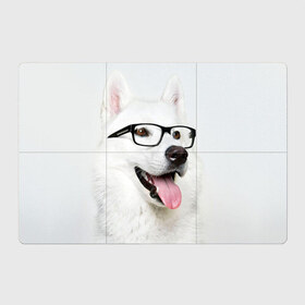 Магнитный плакат 3Х2 с принтом Собака в очках в Екатеринбурге, Полимерный материал с магнитным слоем | 6 деталей размером 9*9 см | домашнее | животное | очки | пес | прикол | собака в очках | умный | ученый