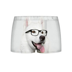 Мужские трусы 3D с принтом Собака в очках в Екатеринбурге, 50% хлопок, 50% полиэстер | классическая посадка, на поясе мягкая тканевая резинка | домашнее | животное | очки | пес | прикол | собака в очках | умный | ученый