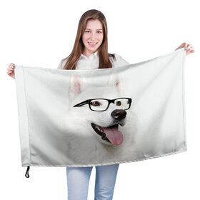 Флаг 3D с принтом Собака в очках в Екатеринбурге, 100% полиэстер | плотность ткани — 95 г/м2, размер — 67 х 109 см. Принт наносится с одной стороны | домашнее | животное | очки | пес | прикол | собака в очках | умный | ученый