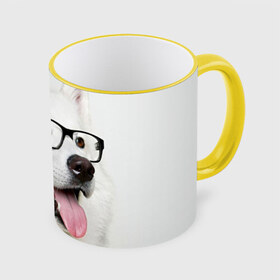 Кружка 3D с принтом Собака в очках в Екатеринбурге, керамика | ёмкость 330 мл | домашнее | животное | очки | пес | прикол | собака в очках | умный | ученый