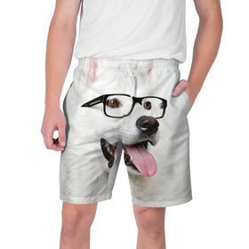 Мужские шорты 3D с принтом Собака в очках в Екатеринбурге,  полиэстер 100% | прямой крой, два кармана без застежек по бокам. Мягкая трикотажная резинка на поясе, внутри которой широкие завязки. Длина чуть выше колен | домашнее | животное | очки | пес | прикол | собака в очках | умный | ученый