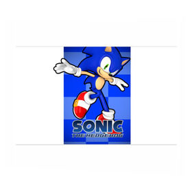 Бумага для упаковки 3D с принтом Sonic The-Hedgehog в Екатеринбурге, пластик и полированная сталь | круглая форма, металлическое крепление в виде кольца | Тематика изображения на принте: sega sonic
