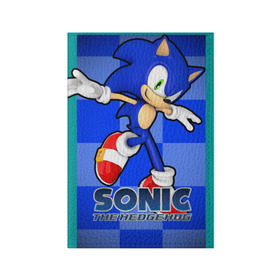Обложка для паспорта матовая кожа с принтом Sonic The-Hedgehog в Екатеринбурге, натуральная матовая кожа | размер 19,3 х 13,7 см; прозрачные пластиковые крепления | Тематика изображения на принте: sega sonic