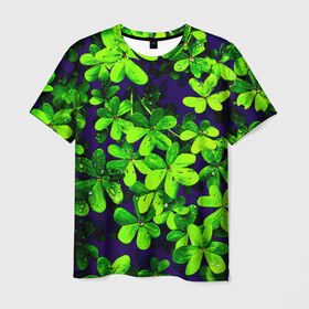 Мужская футболка 3D с принтом Цветы в Екатеринбурге, 100% полиэфир | прямой крой, круглый вырез горловины, длина до линии бедер | flower | весна | лето | природа | тюльпаны