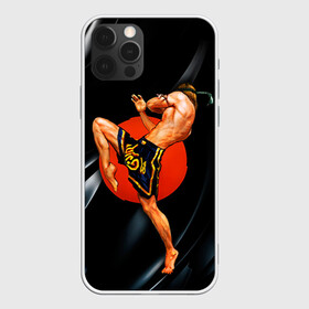 Чехол для iPhone 12 Pro с принтом Muay thai 4 в Екатеринбурге, силикон | область печати: задняя сторона чехла, без боковых панелей | Тематика изображения на принте: muay thai