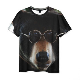 Мужская футболка 3D с принтом Медведь в очках в Екатеринбурге, 100% полиэфир | прямой крой, круглый вырез горловины, длина до линии бедер | Тематика изображения на принте: животное | медведь | новая | очки | природа | стильная