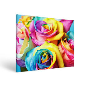 Холст прямоугольный с принтом Радужная роза в Екатеринбурге, 100% ПВХ |  | бутон | лепестки | радуга | радужная роза | спектр | цвет | цветные | яркий